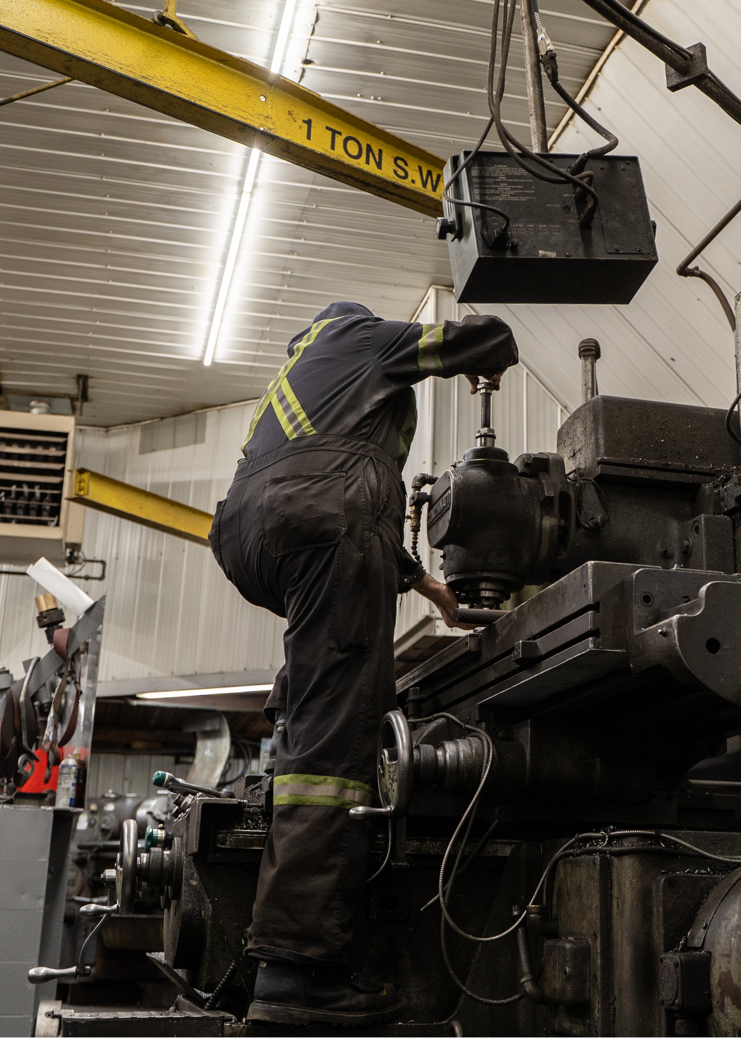 Zanron2024-181 Crop.JPG